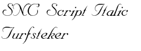 SNC Script Italic